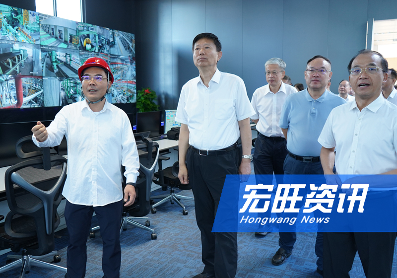 廣西壯族自治區(qū)政協(xié)副主席費(fèi)志榮一行蒞臨廣西宏旺視察